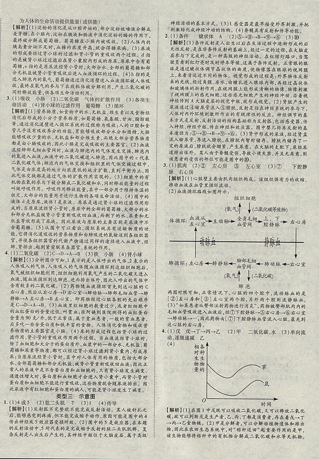 2018年中考加速度总复习生物 参考答案第24页