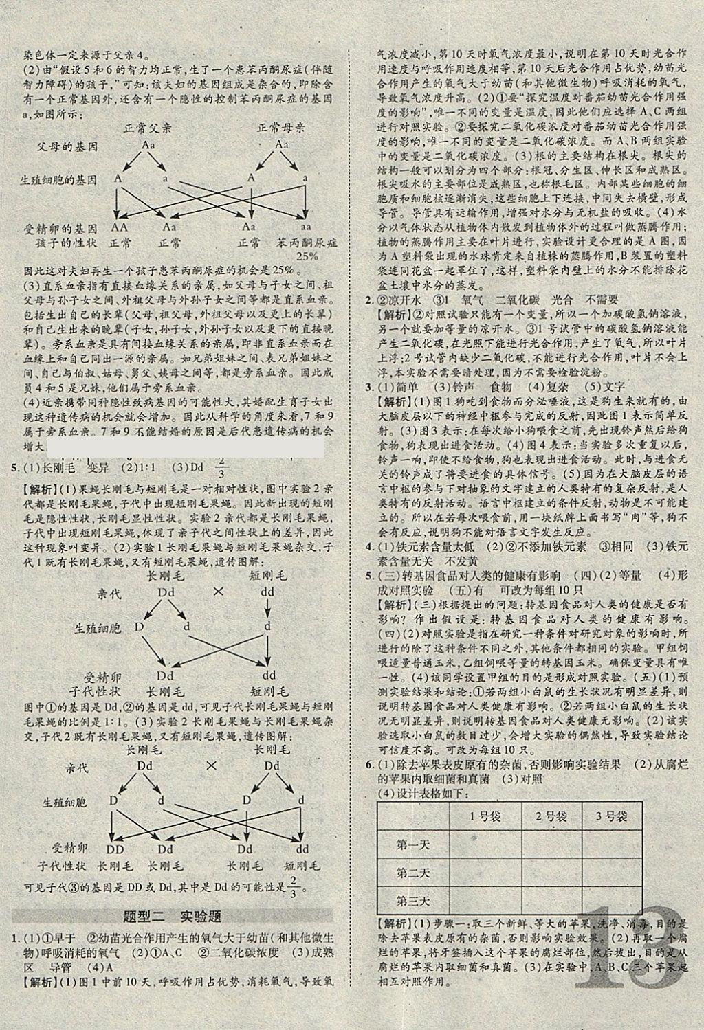 2018年中考加速度總復習生物 參考答案第26頁