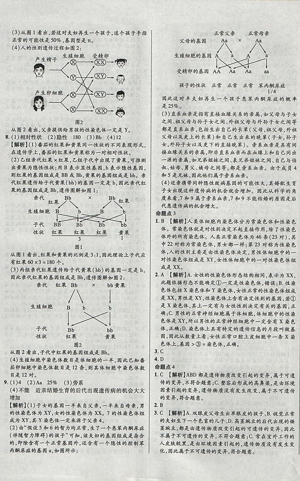 2018年中教聯(lián)云南中考新突破三年中考一年預(yù)測生物 參考答案第25頁