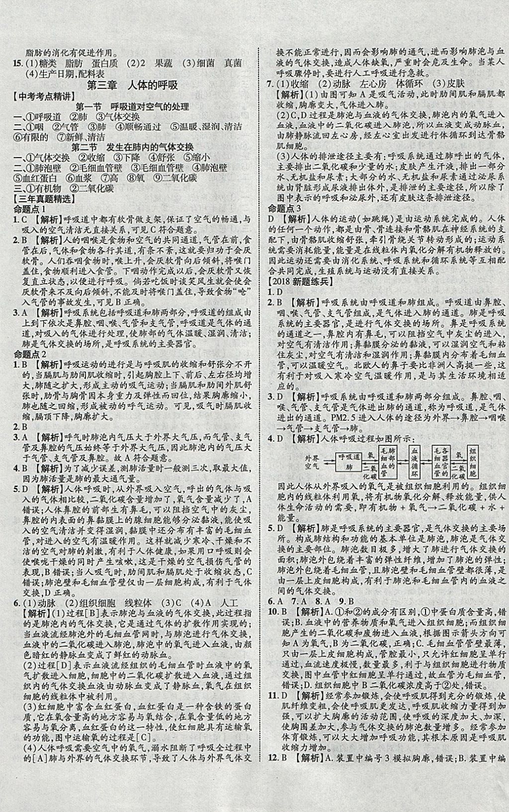 2018年中教聯(lián)云南中考新突破三年中考一年預(yù)測生物 參考答案第13頁