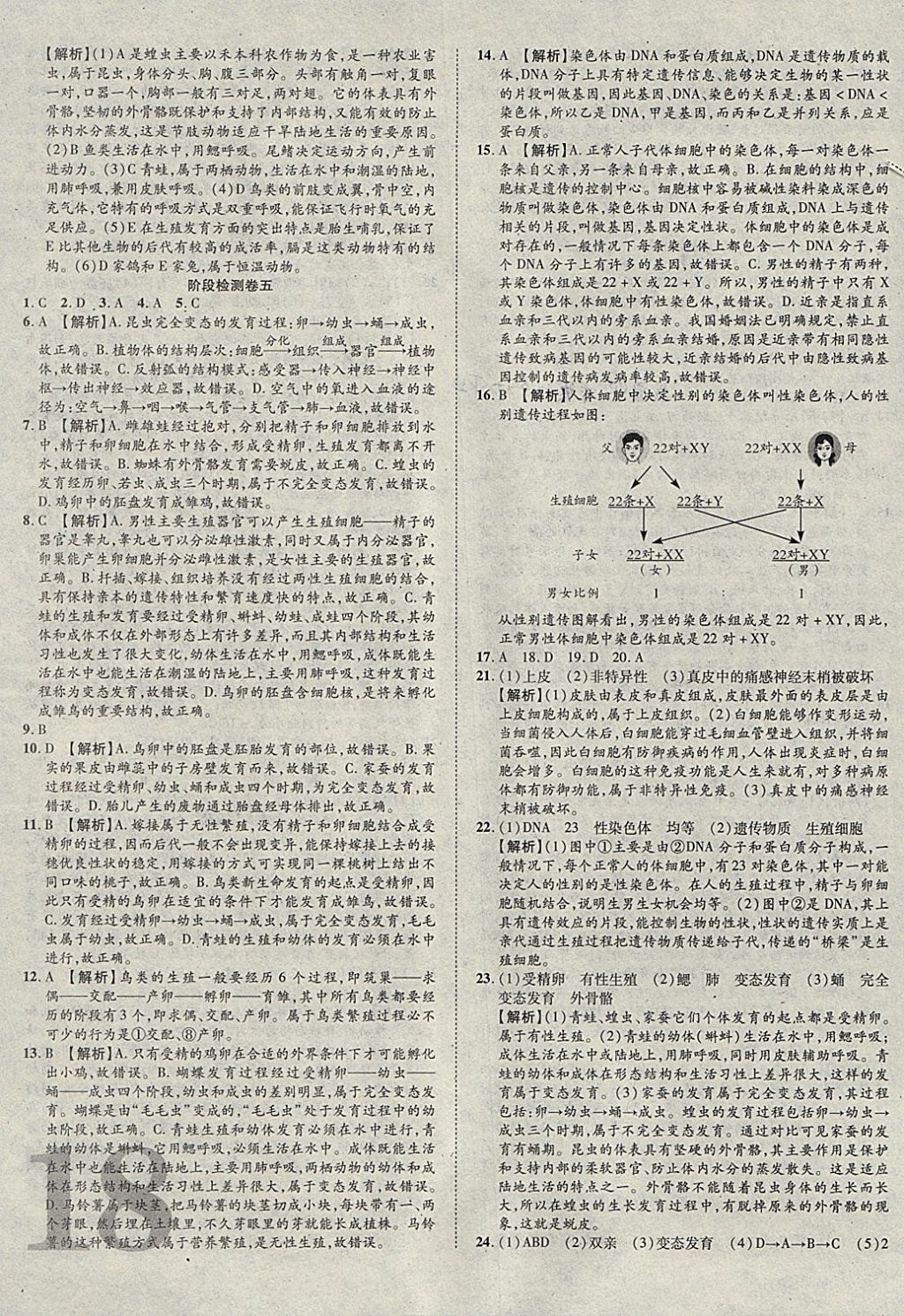 2018年中考加速度总复习生物 参考答案第35页