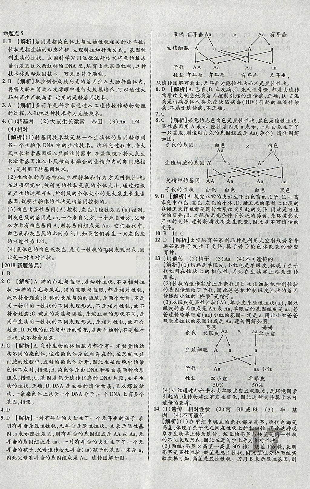 2018年中教聯(lián)云南中考新突破三年中考一年預(yù)測生物 參考答案第26頁