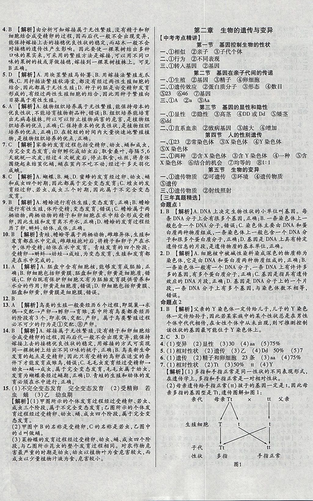 2018年中教聯(lián)云南中考新突破三年中考一年預(yù)測生物 參考答案第24頁