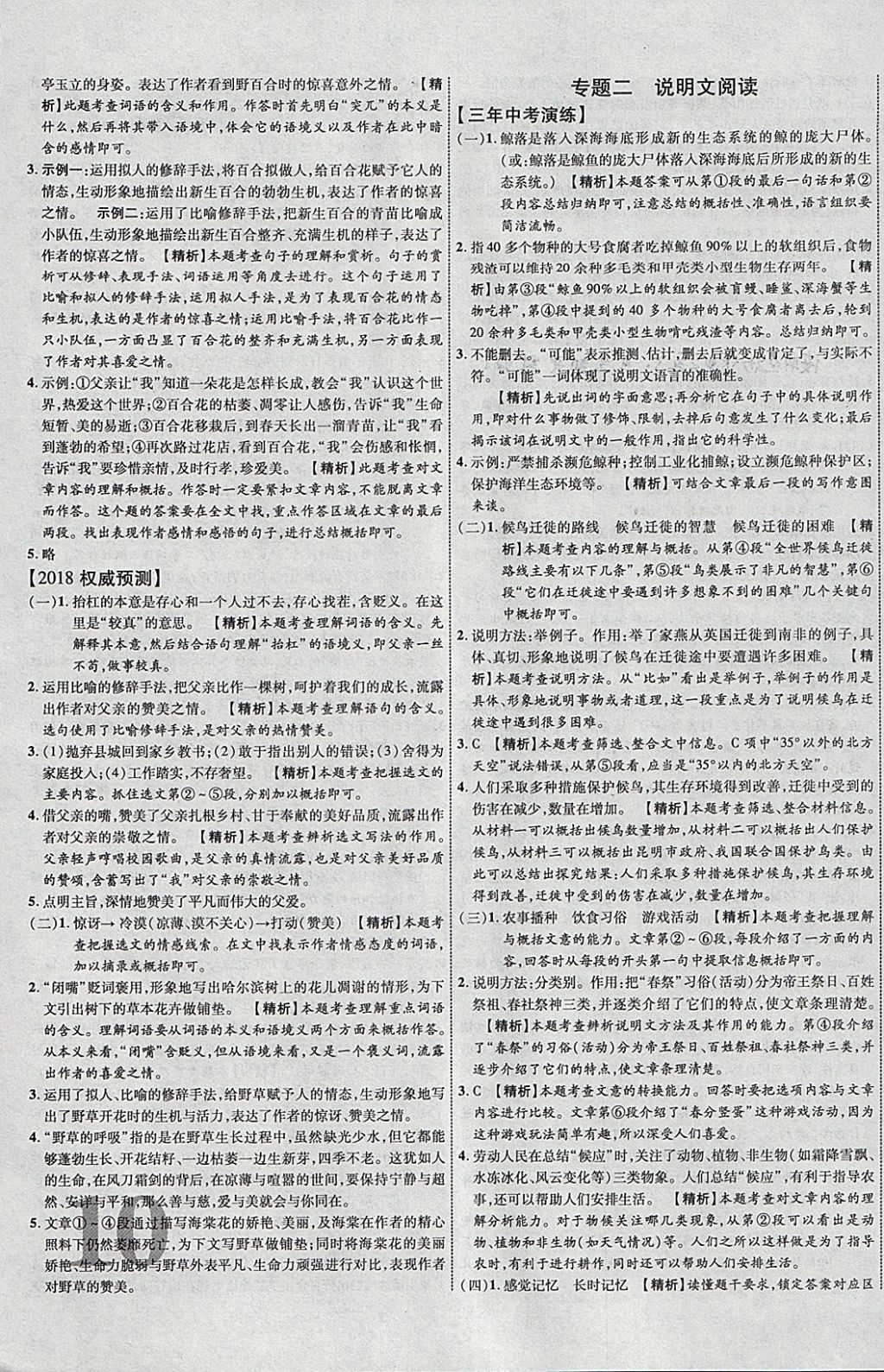 2018年中教联云南中考新突破三年中考一年预测语文 参考答案第19页