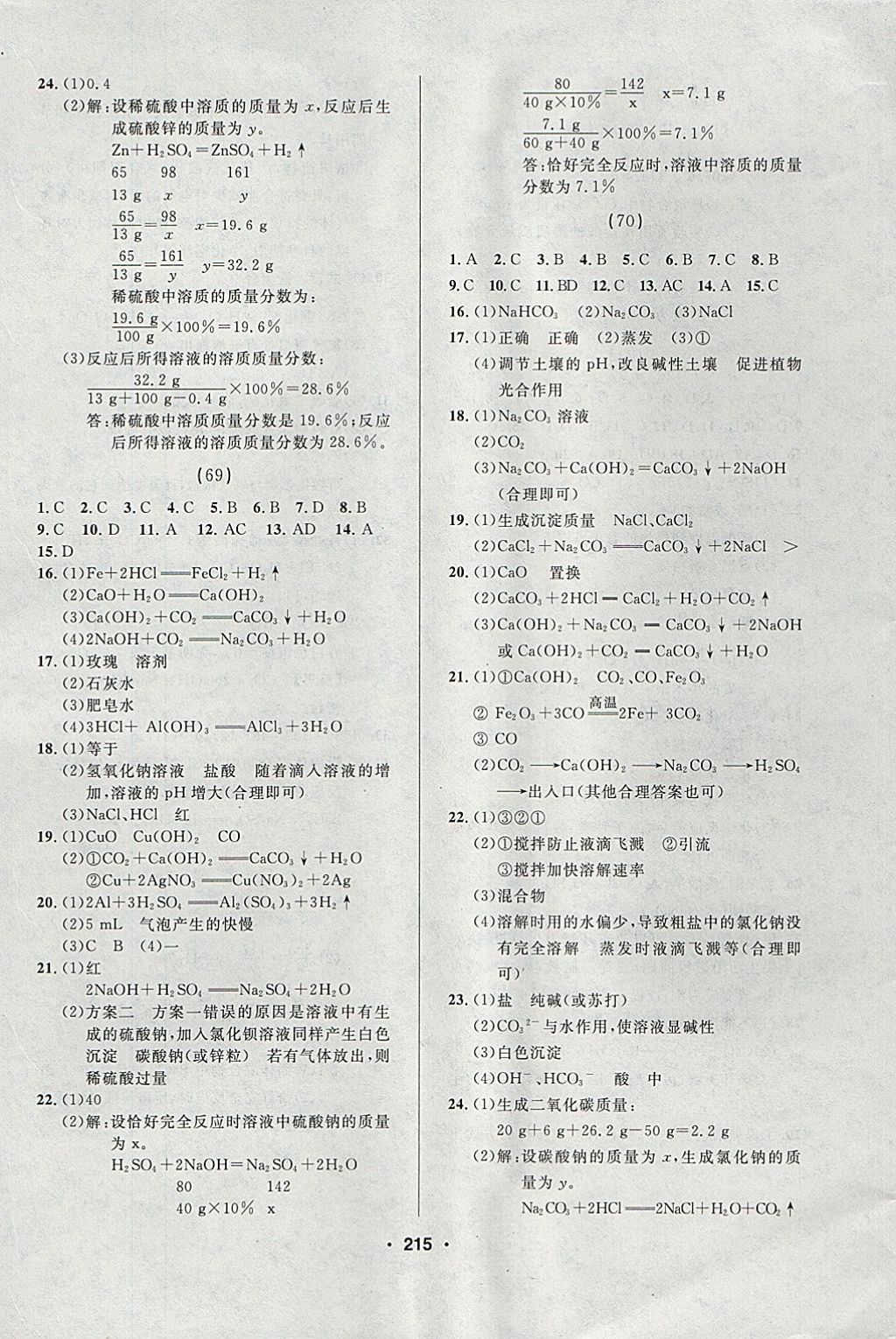 2018年試題優(yōu)化課堂同步九年級化學(xué)下冊人教版 參考答案第17頁