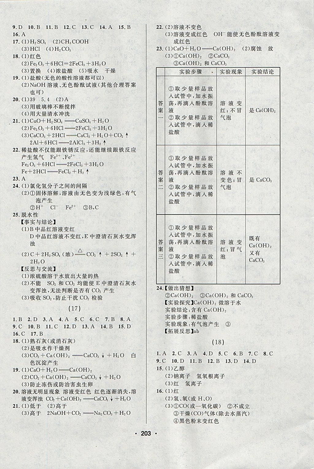 2018年試題優(yōu)化課堂同步九年級(jí)化學(xué)下冊(cè)人教版 參考答案第5頁(yè)