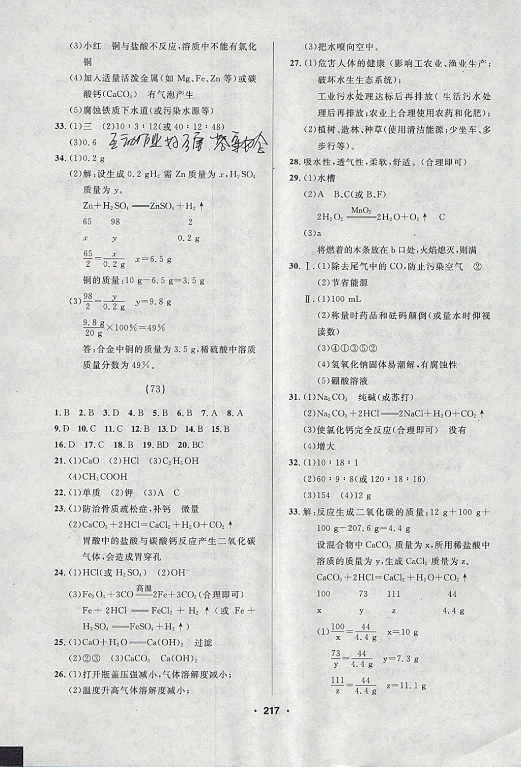 2018年試題優(yōu)化課堂同步九年級化學(xué)下冊人教版 參考答案第19頁