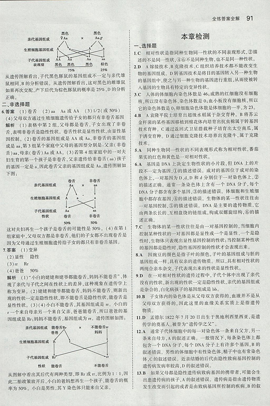 2018年5年中考3年模擬初中生物八年級下冊人教版 參考答案第13頁