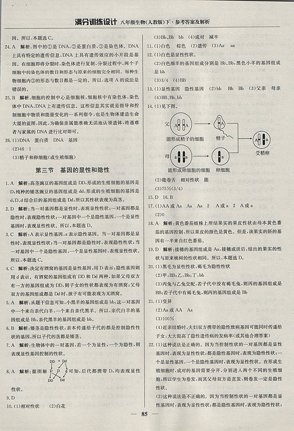 2018年滿分訓練設計八年級生物下冊人教版 參考答案第6頁