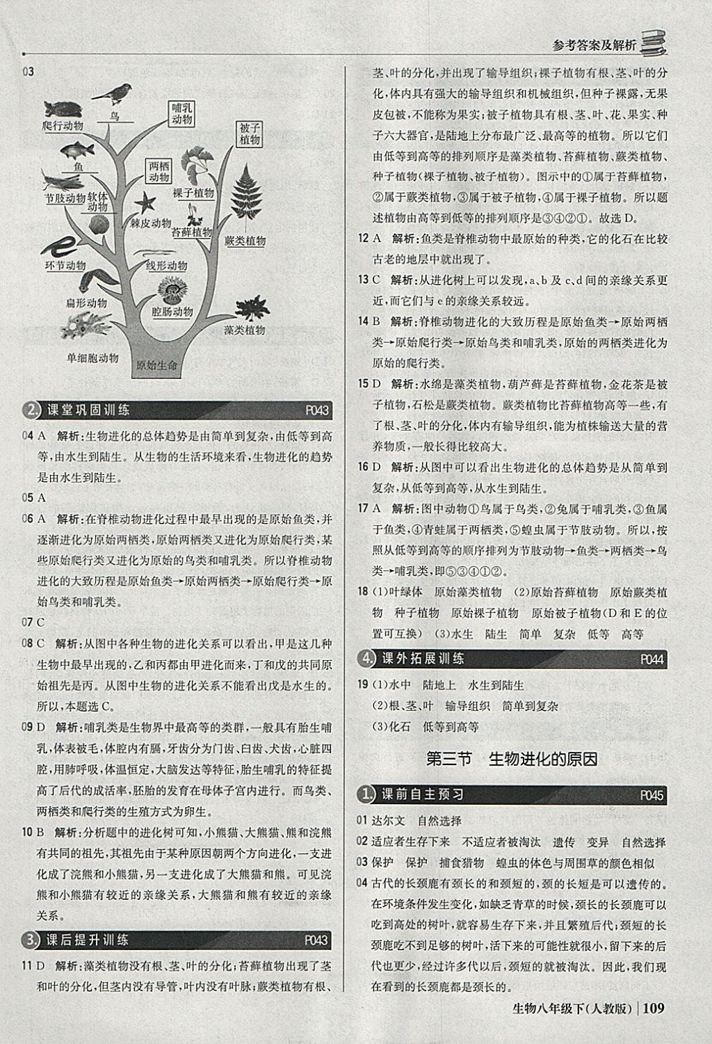 2018年1加1輕巧奪冠優(yōu)化訓(xùn)練八年級生物下冊人教版銀版 參考答案第14頁