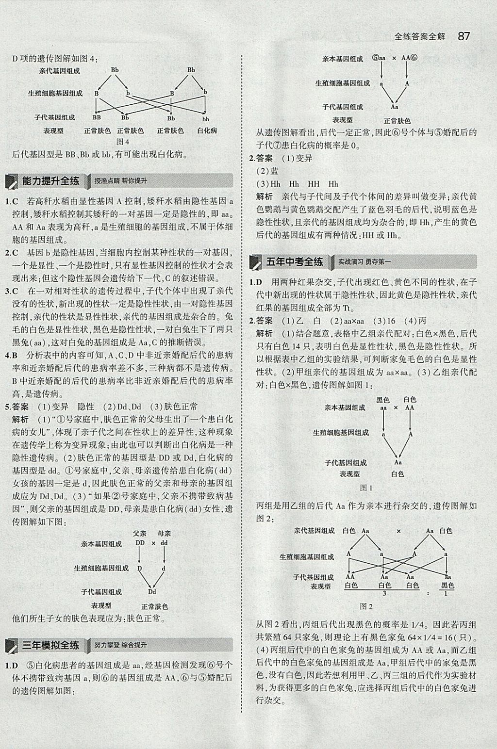 2018年5年中考3年模擬初中生物八年級下冊人教版 參考答案第9頁