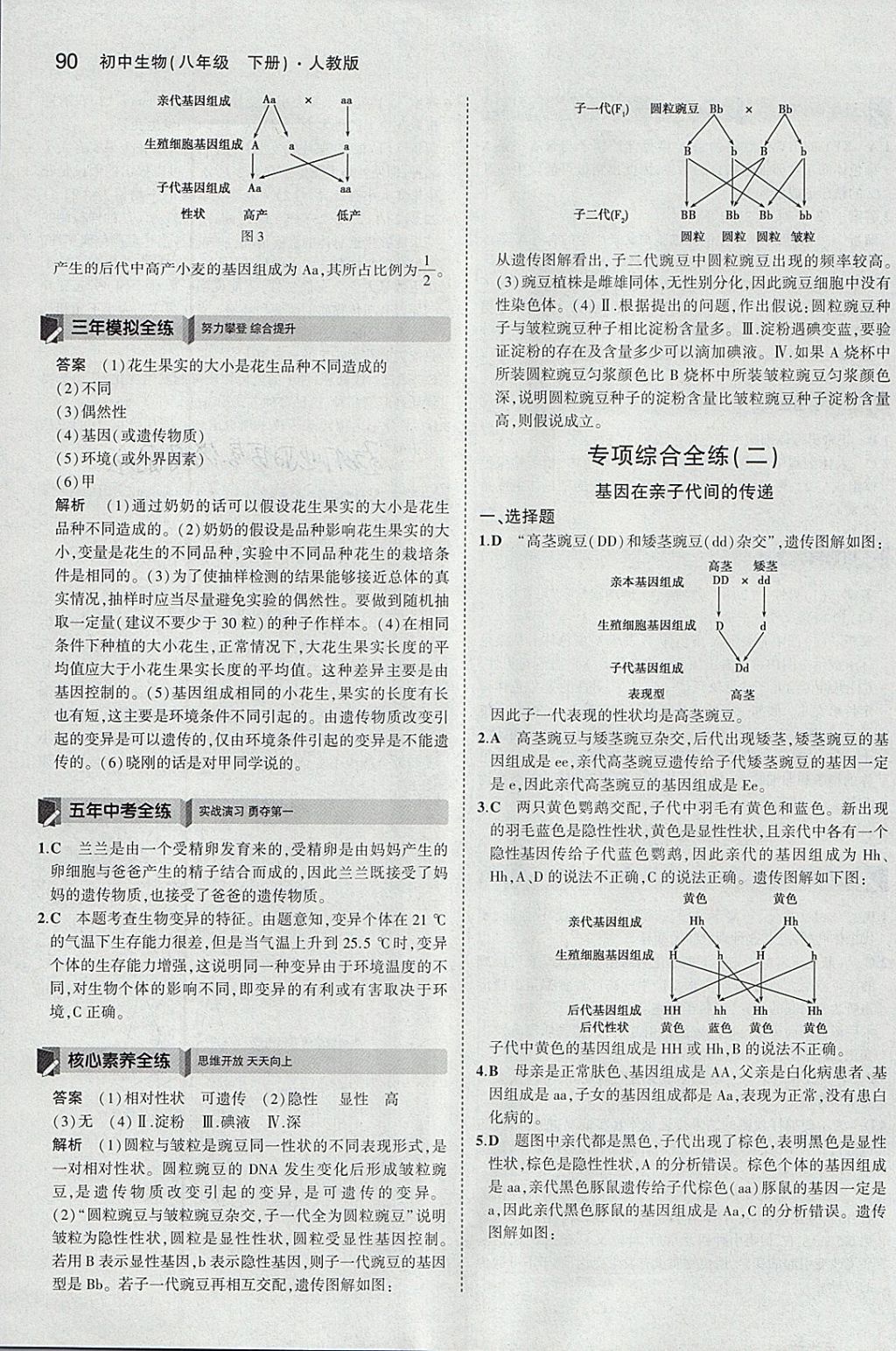 2018年5年中考3年模擬初中生物八年級(jí)下冊(cè)人教版 參考答案第12頁(yè)