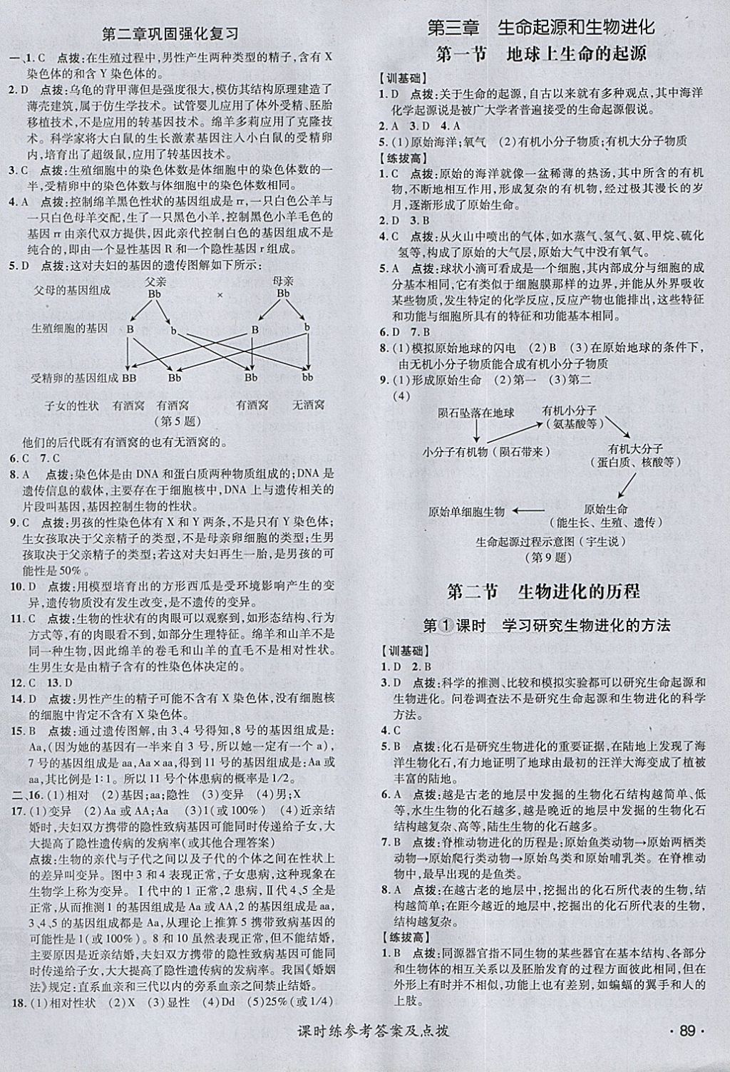 2018年點撥訓練八年級生物下冊人教版 參考答案第14頁