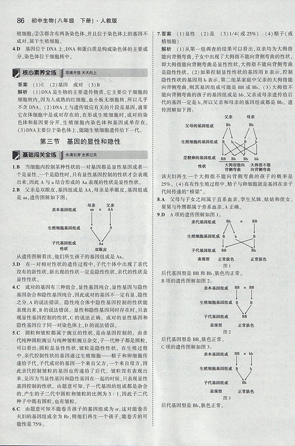 2018年5年中考3年模擬初中生物八年級(jí)下冊(cè)人教版 參考答案第8頁(yè)