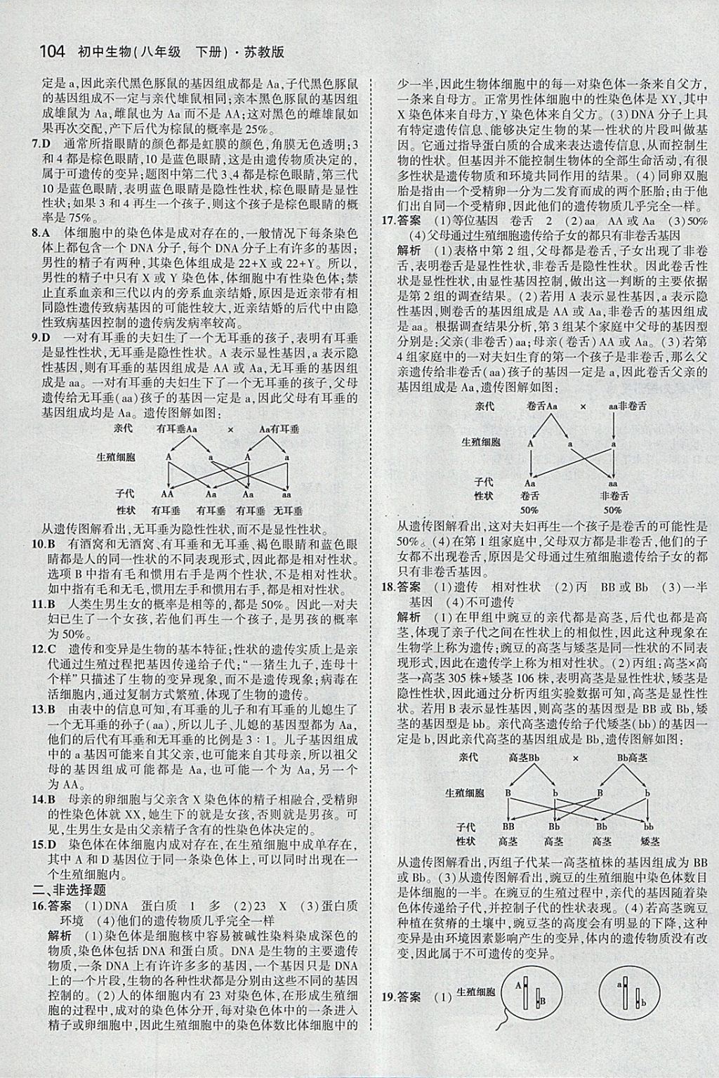 2018年5年中考3年模擬初中生物八年級(jí)下冊(cè)蘇教版 參考答案第13頁