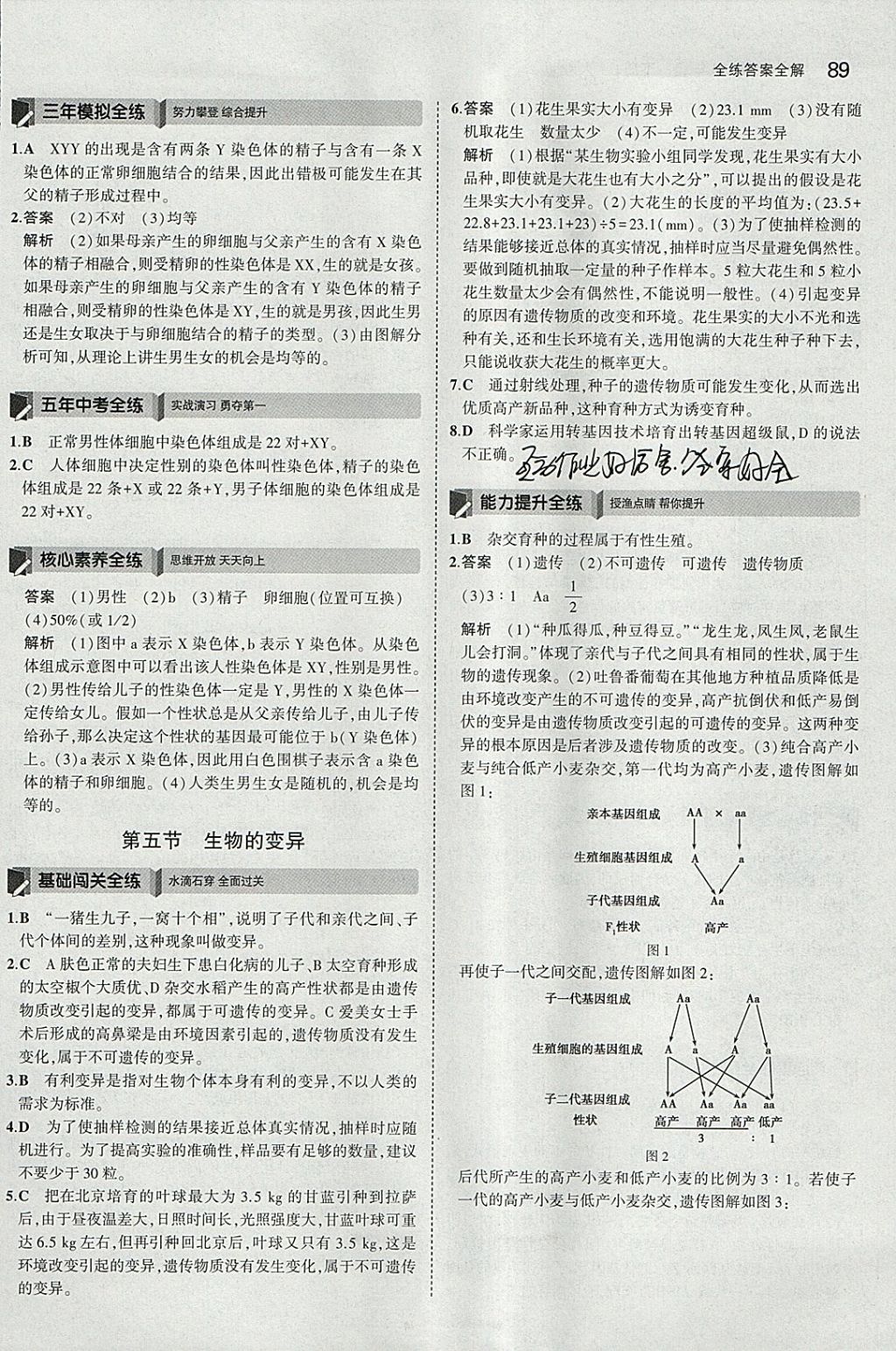 2018年5年中考3年模擬初中生物八年級下冊人教版 參考答案第11頁