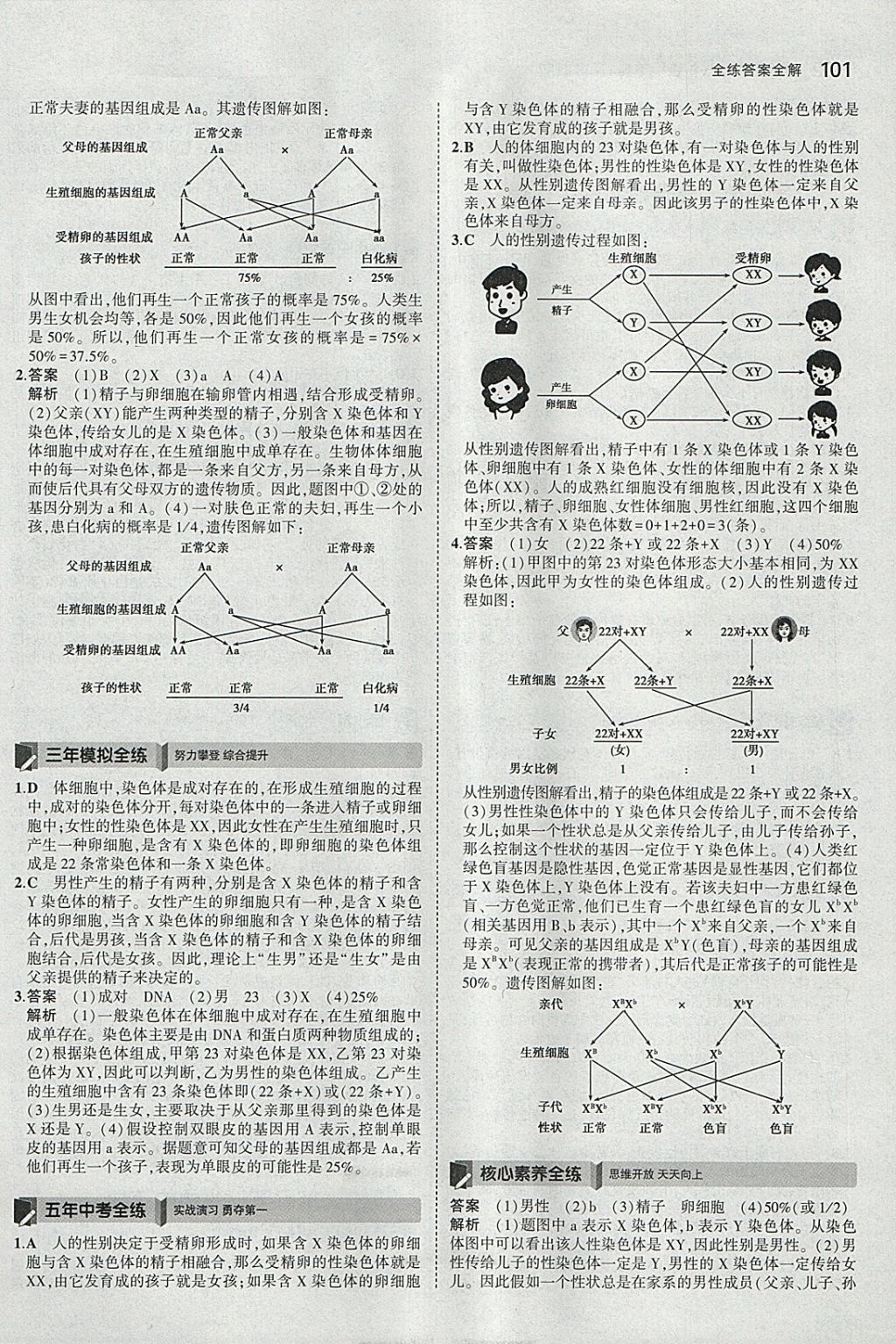 2018年5年中考3年模擬初中生物八年級(jí)下冊(cè)蘇教版 參考答案第10頁