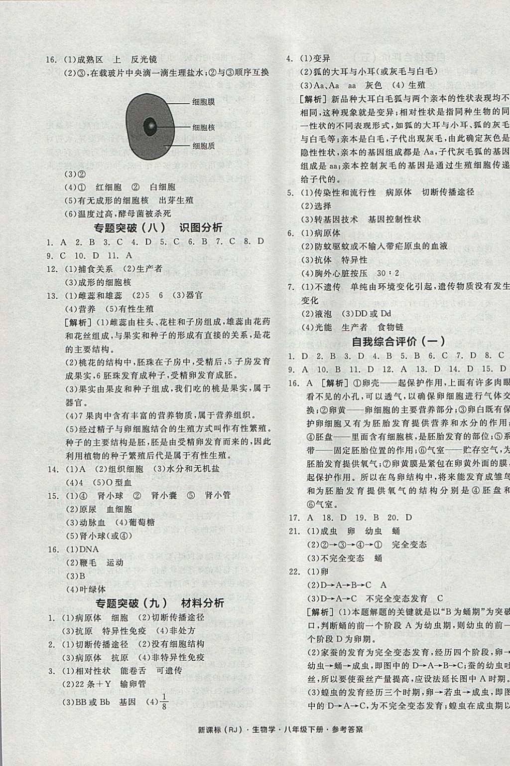 2018年全品学练考八年级生物学下册人教版 参考答案第9页