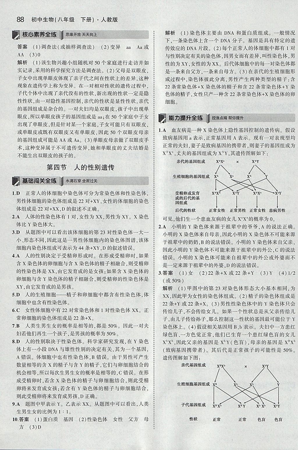 2018年5年中考3年模擬初中生物八年級下冊人教版 參考答案第10頁