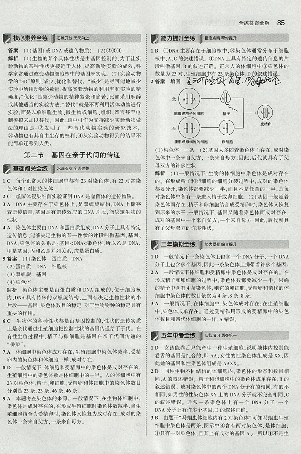 2018年5年中考3年模擬初中生物八年級下冊人教版 參考答案第7頁