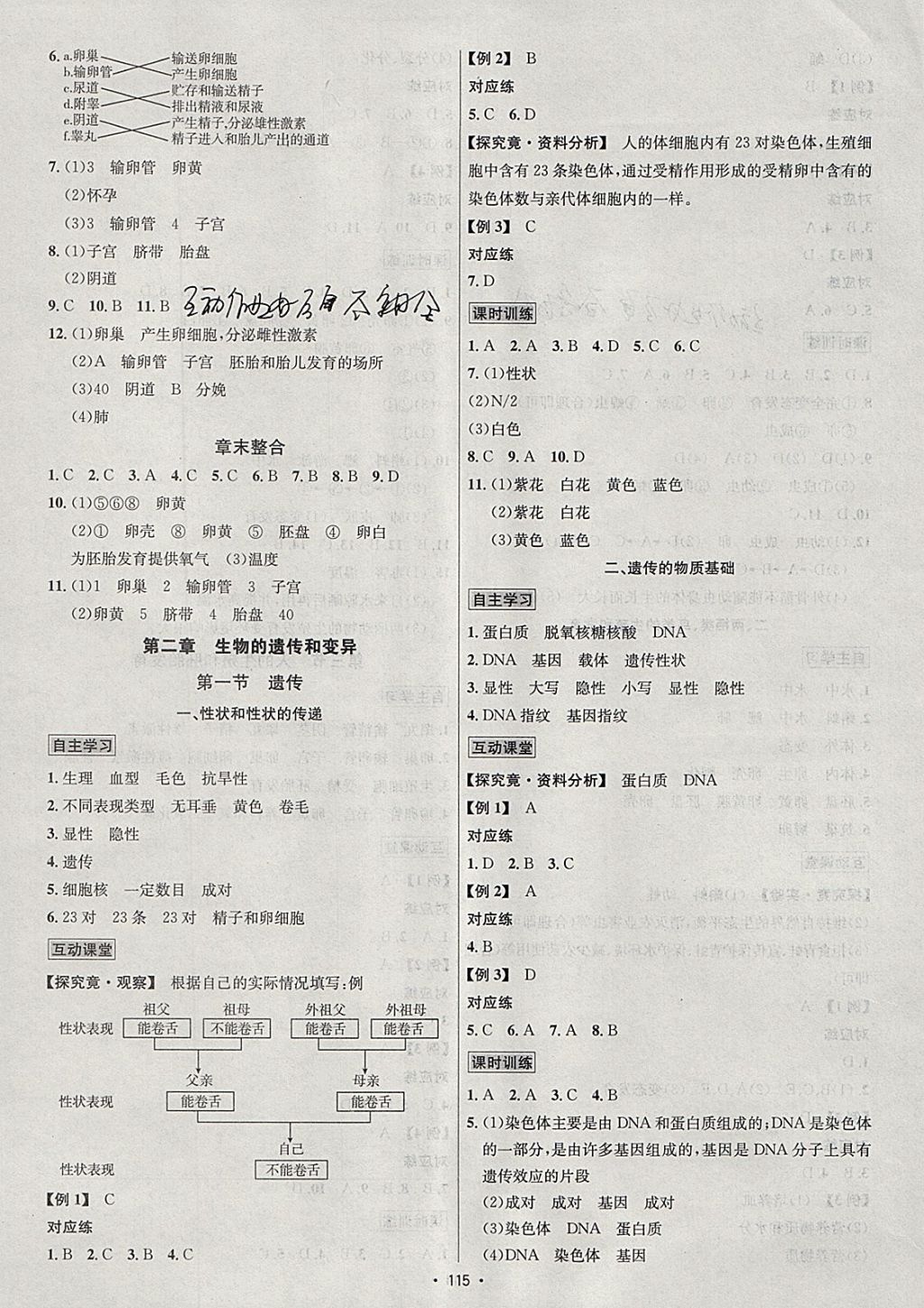 2018年優(yōu)學(xué)名師名題八年級生物下冊冀少版 參考答案第3頁