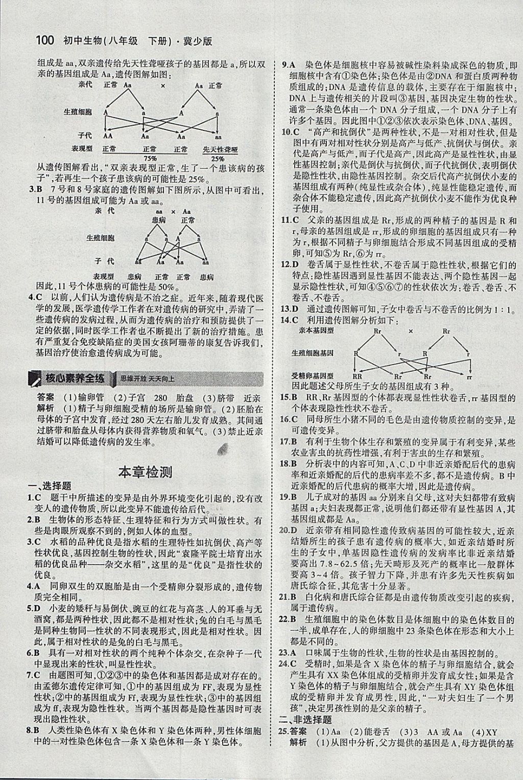 2018年5年中考3年模拟初中生物八年级下册冀少版 参考答案第11页