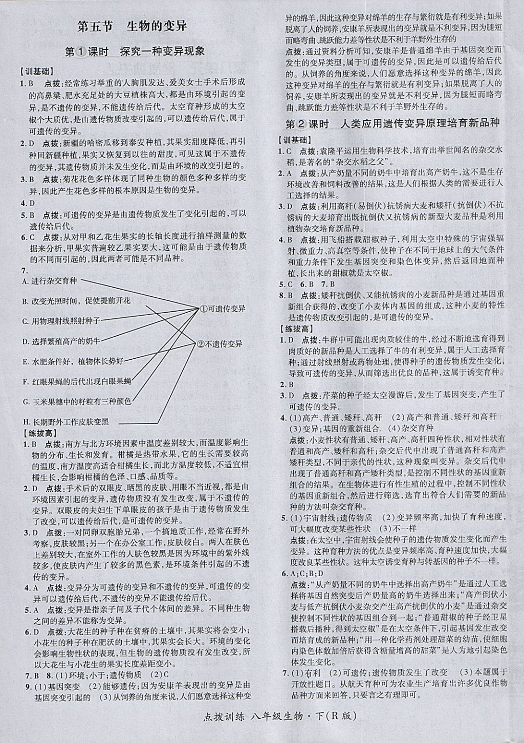 2018年點(diǎn)撥訓(xùn)練八年級(jí)生物下冊(cè)人教版 參考答案第13頁