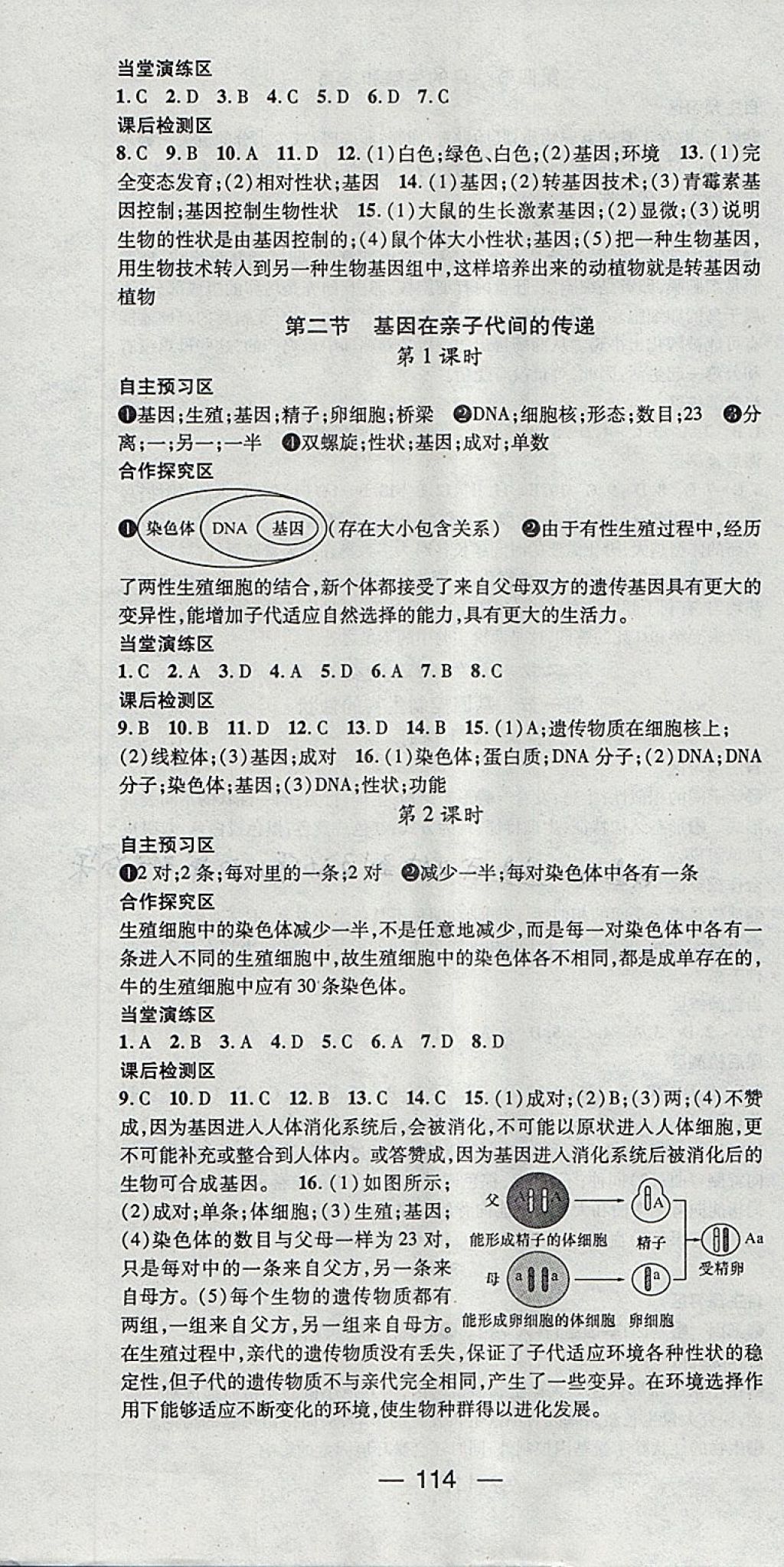 2018年精英新課堂八年級(jí)生物下冊(cè)人教版 參考答案第4頁