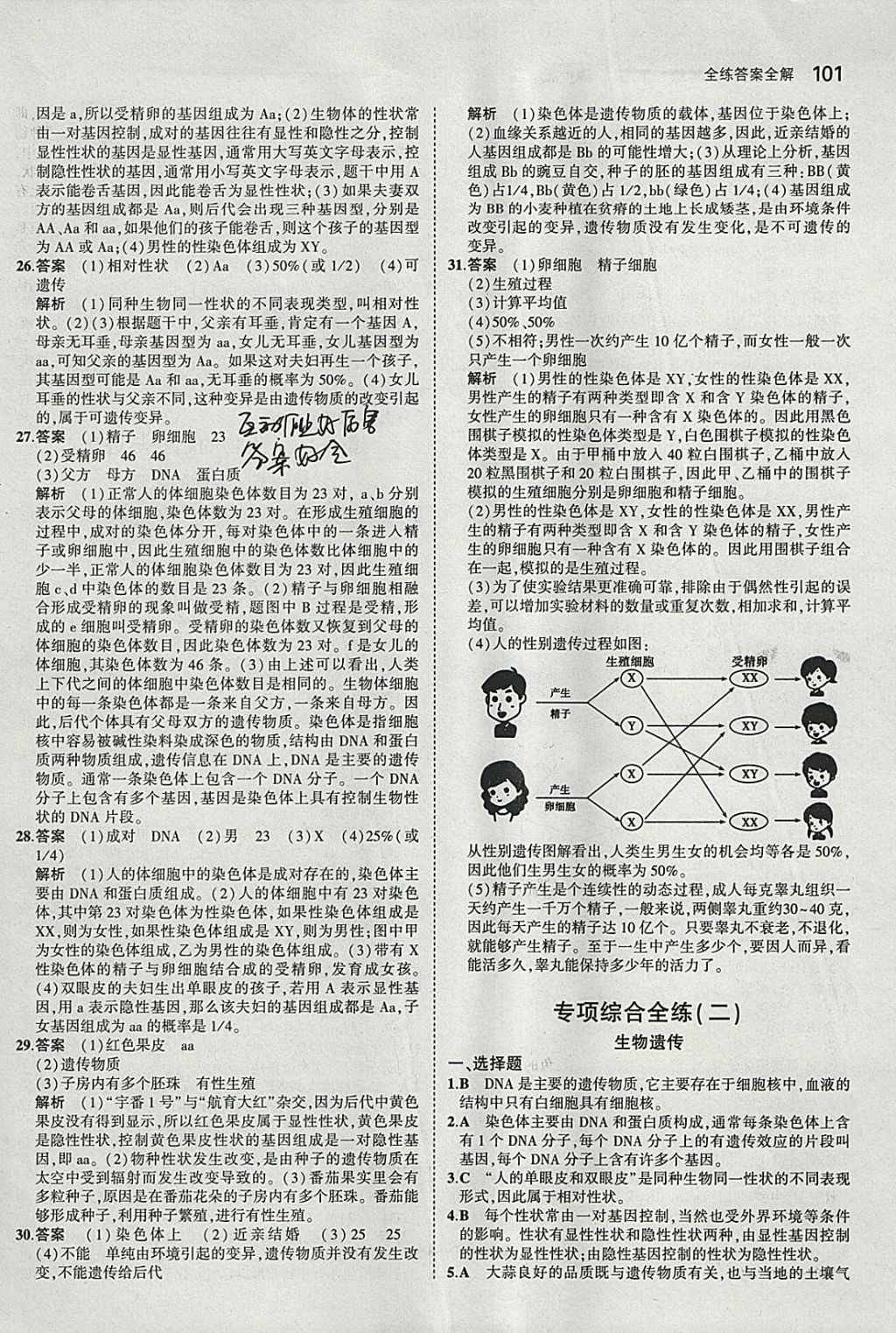 2018年5年中考3年模拟初中生物八年级下册冀少版 参考答案第12页