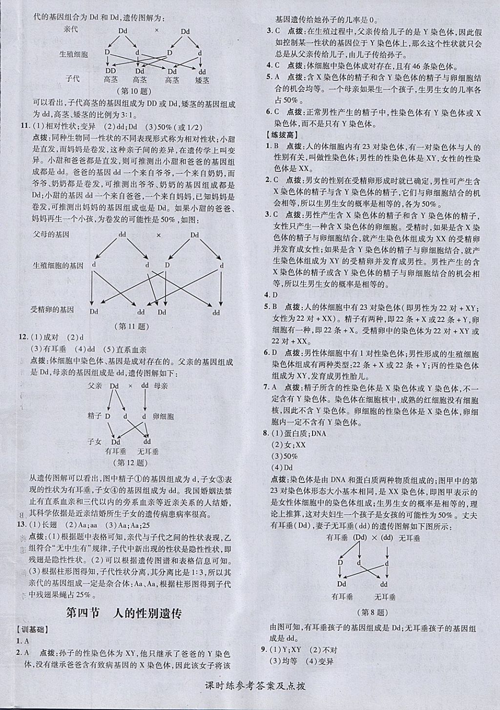 2018年點撥訓(xùn)練八年級生物下冊人教版 參考答案第12頁