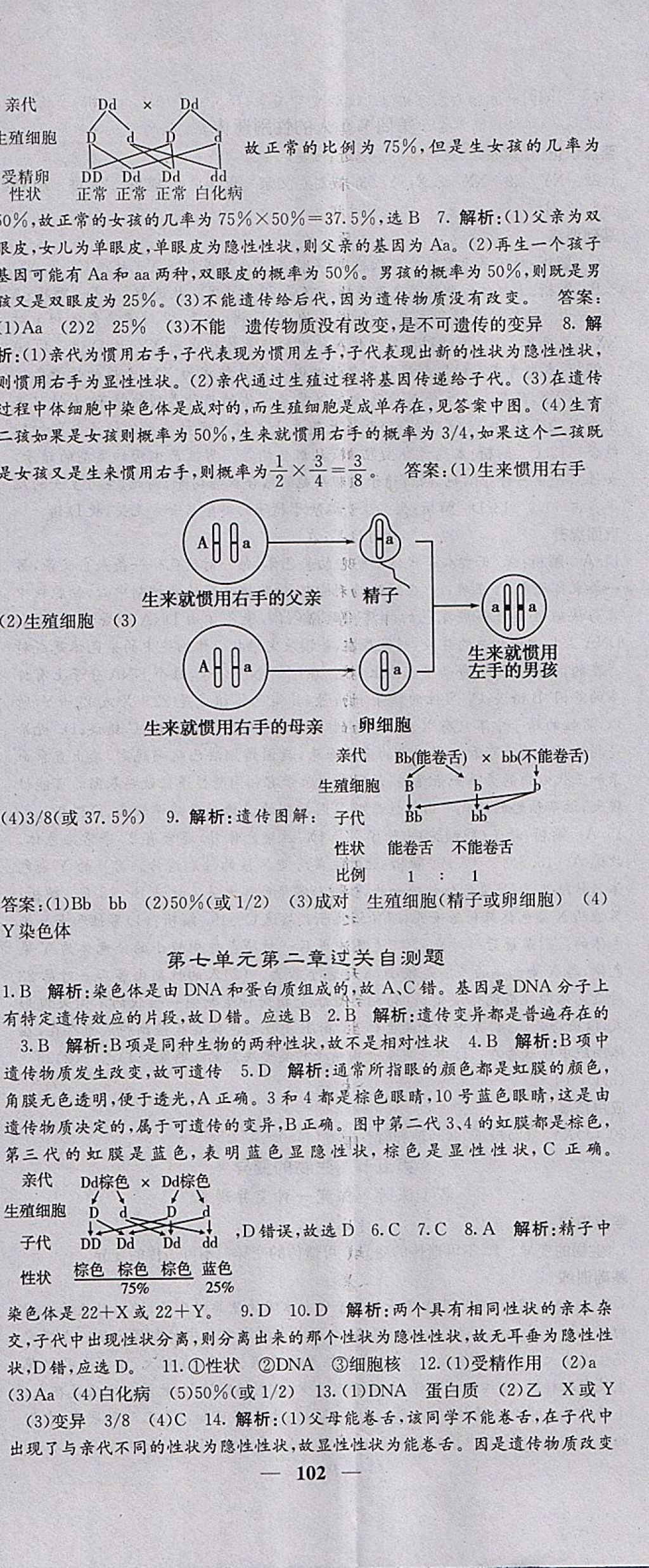 2018年課堂點(diǎn)睛八年級(jí)生物下冊(cè)人教版 參考答案第11頁