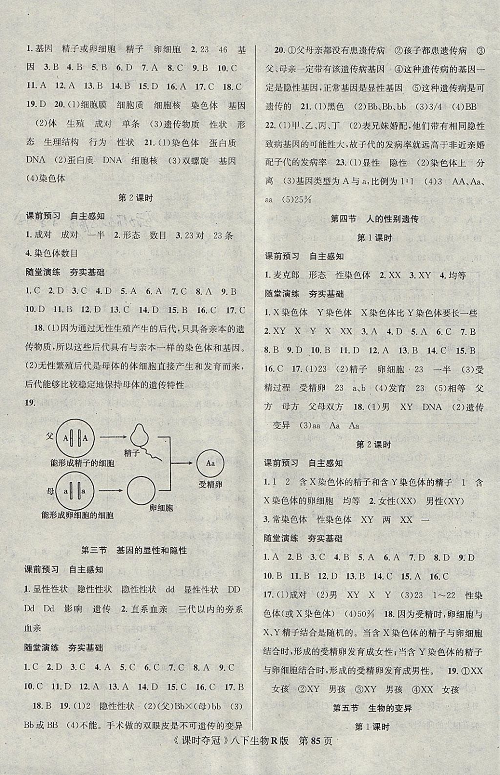 2018年课时夺冠八年级生物下册人教版 参考答案第3页