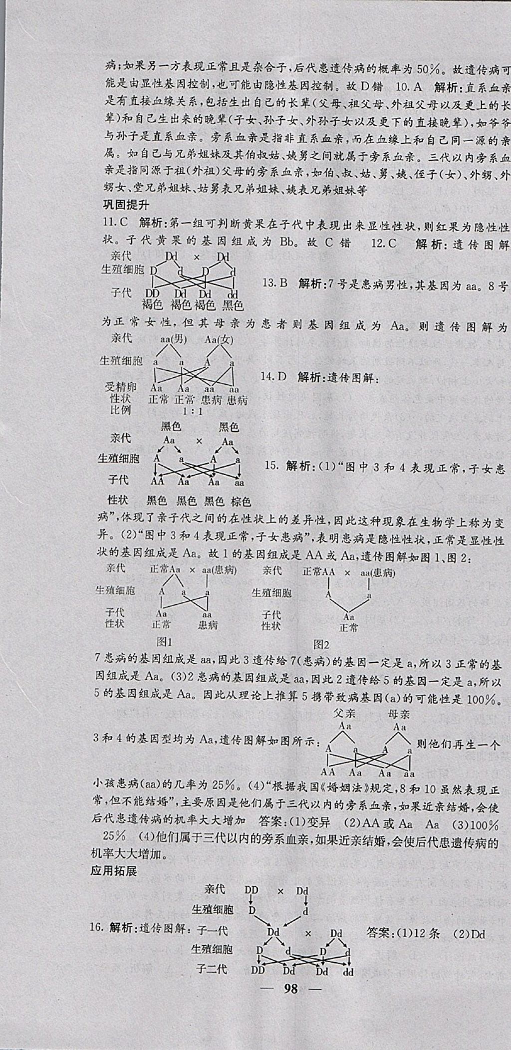 2018年課堂點(diǎn)睛八年級(jí)生物下冊(cè)人教版 參考答案第7頁(yè)