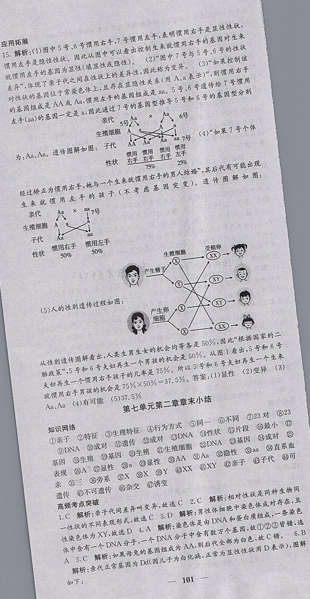 2018年課堂點(diǎn)睛八年級(jí)生物下冊(cè)人教版 參考答案第10頁(yè)