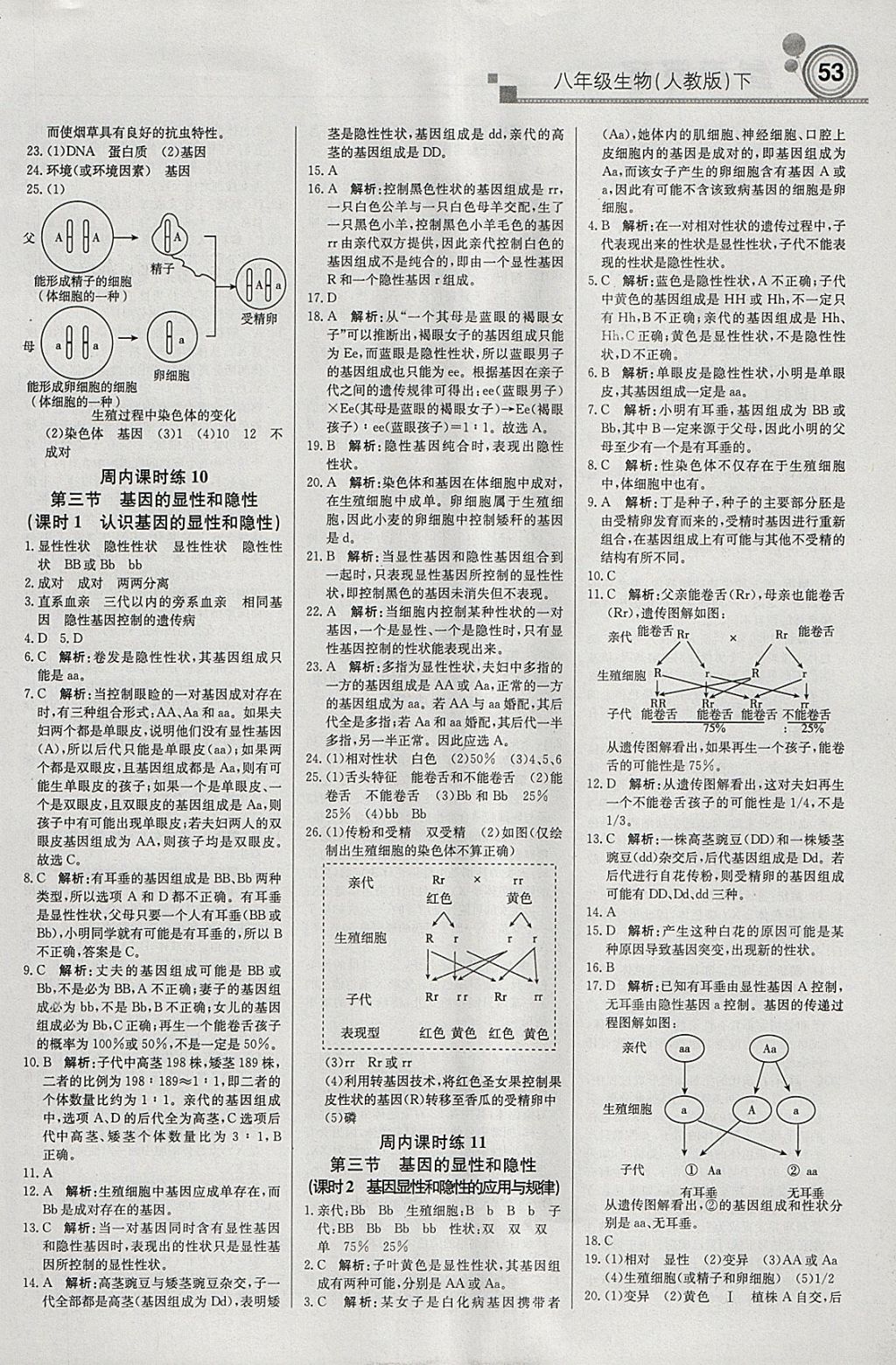 2018年輕巧奪冠周測月考直通中考八年級生物下冊人教版 參考答案第5頁