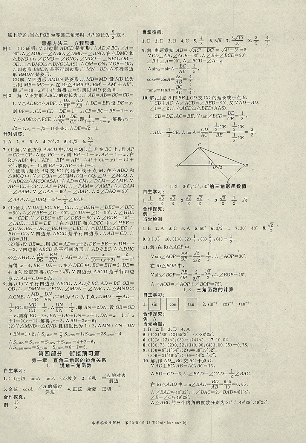 2018年金象教育U計劃學(xué)期系統(tǒng)復(fù)習(xí)寒假作業(yè)九年級數(shù)學(xué)北師大版 參考答案第10頁