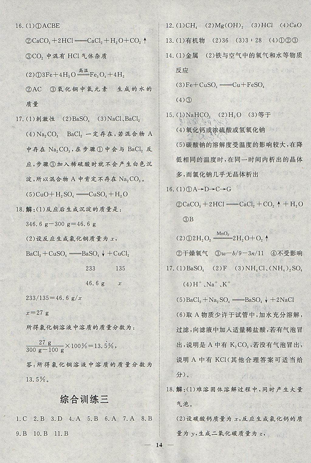 2018年文轩图书假期生活指导寒九年级化学 参考答案第10页