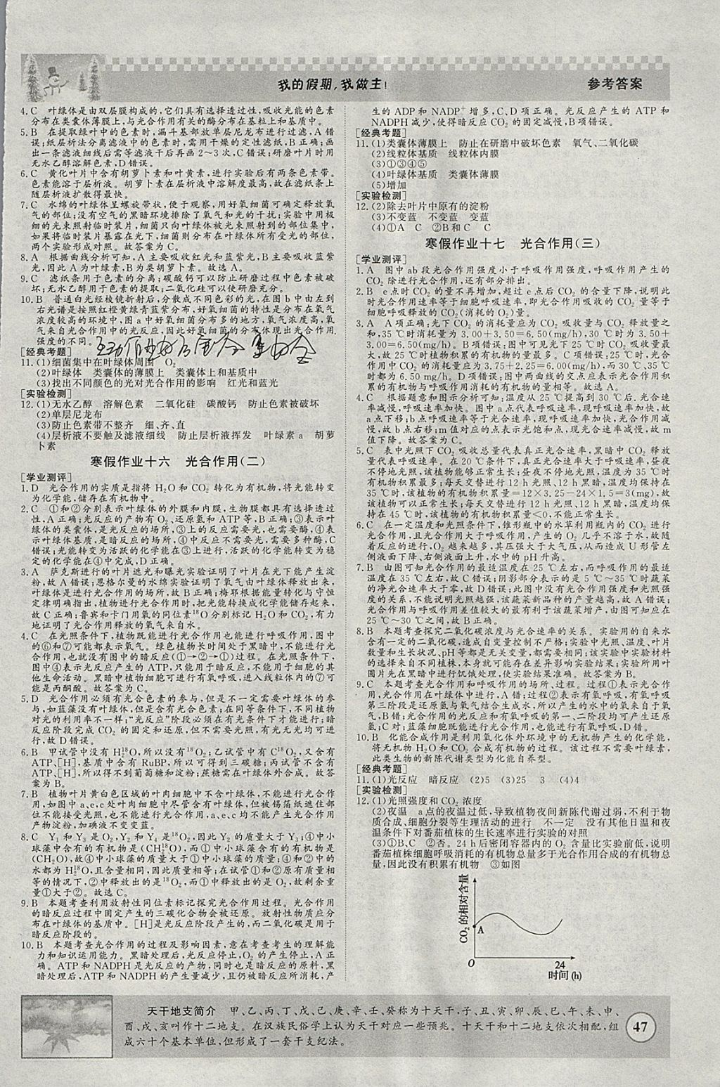 2018年寒假高效作業(yè)高一生物 參考答案第6頁(yè)