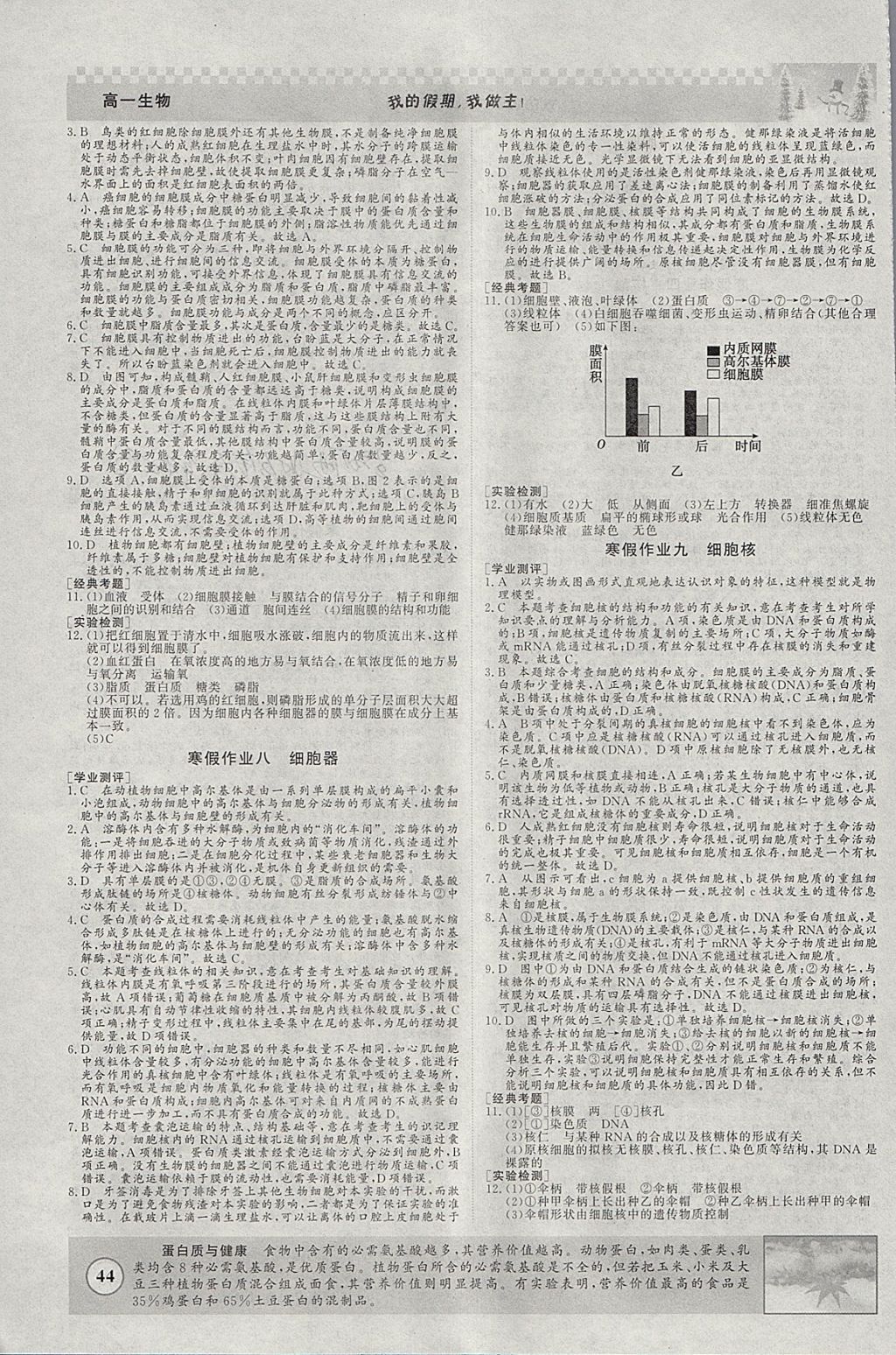 2018年寒假高效作業(yè)高一生物 參考答案第3頁