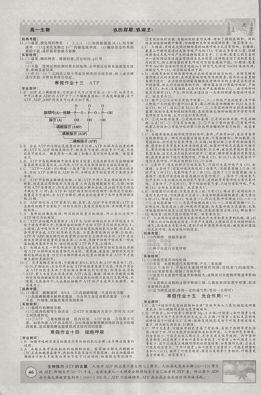 2018年寒假高效作業(yè)高一生物 參考答案第5頁(yè)