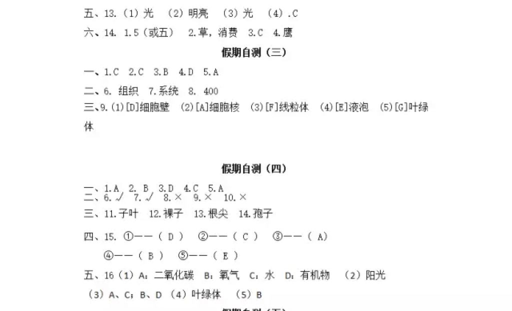 2018年寒假Happy假日六年級綜合七臺河專用五四制黑龍江少年兒童出版社 參考答案第12頁