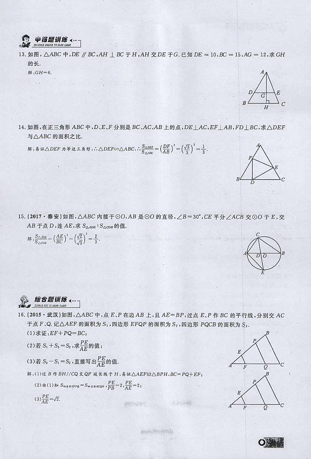 2018年思维新观察九年级数学下册 参考答案第24页