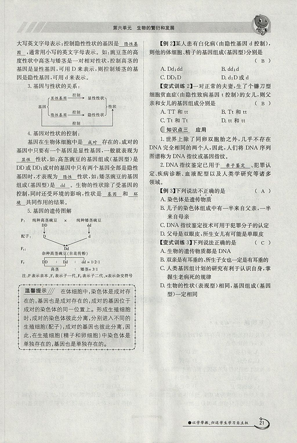 2018年金太陽導學案八年級生物下冊冀少版 參考答案第21頁