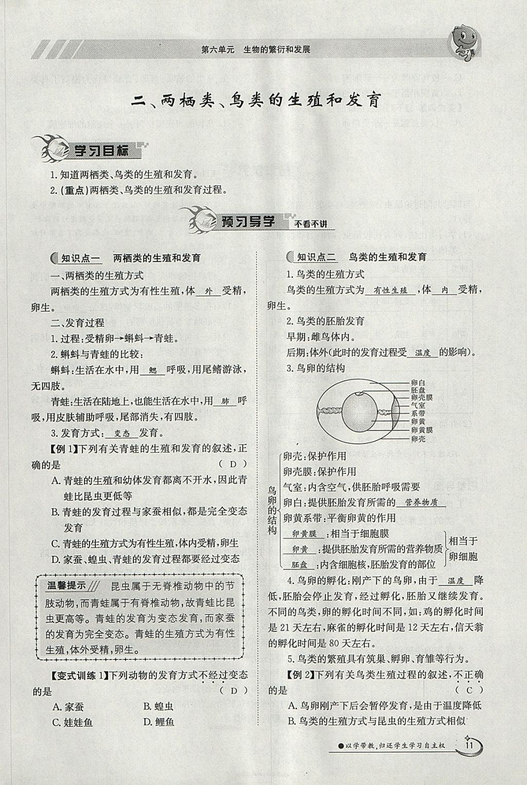 2018年金太陽導學案八年級生物下冊冀少版 參考答案第11頁