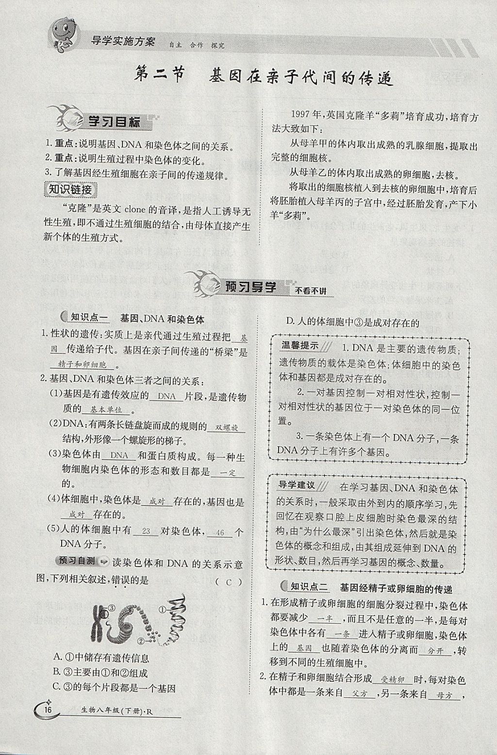 2018年金太陽(yáng)導(dǎo)學(xué)案八年級(jí)生物下冊(cè)人教版 參考答案第16頁(yè)