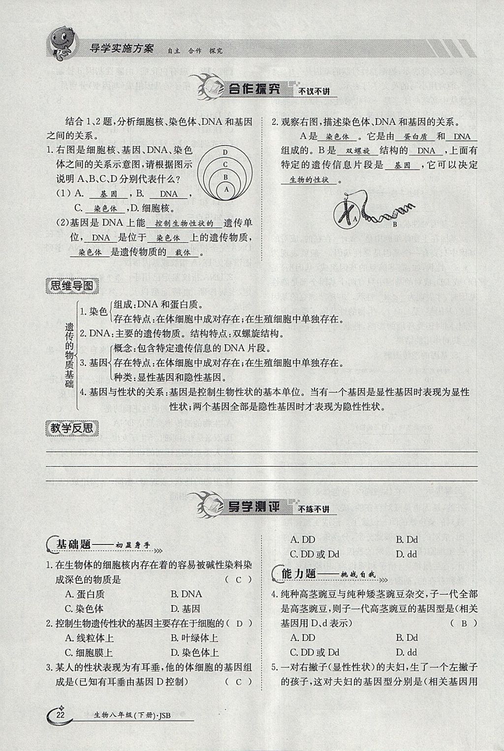 2018年金太陽導學案八年級生物下冊冀少版 參考答案第22頁