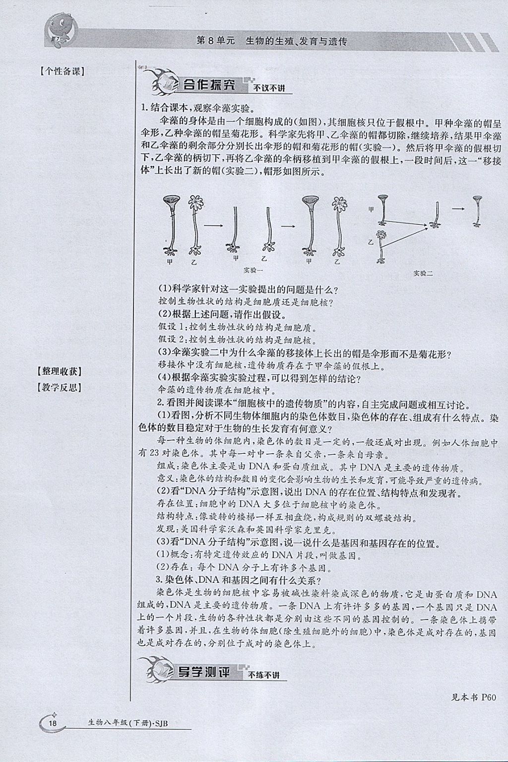 2018年金太陽導(dǎo)學(xué)案八年級(jí)生物下冊蘇教版 參考答案第18頁