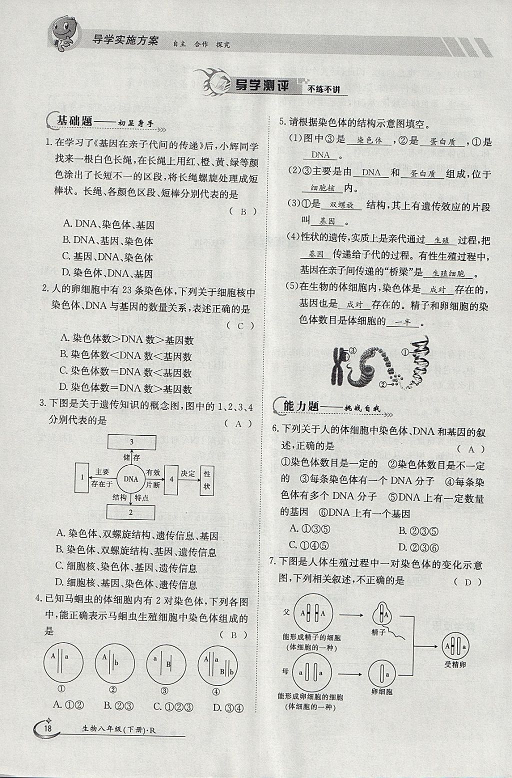 2018年金太陽導(dǎo)學(xué)案八年級生物下冊人教版 參考答案第18頁