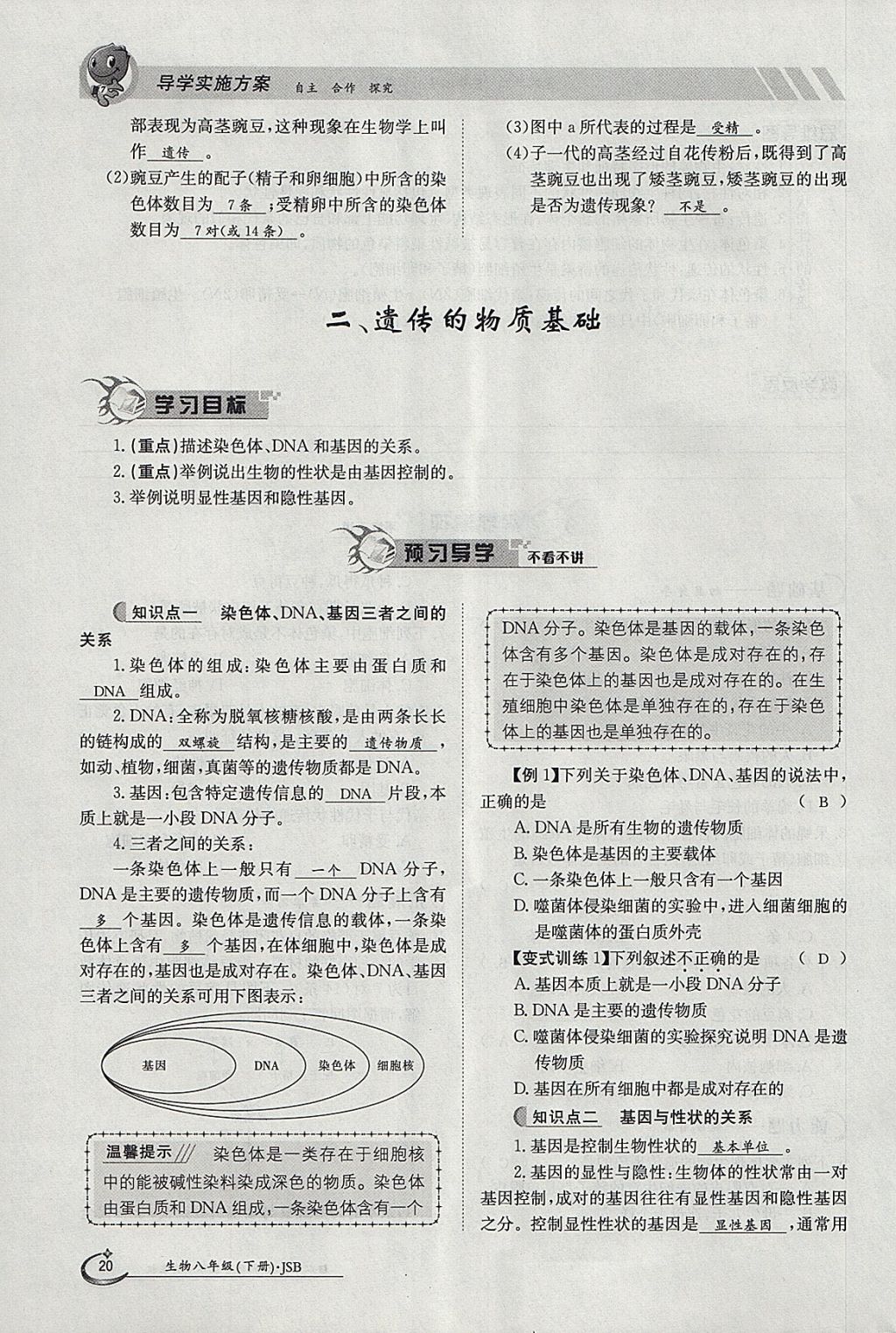 2018年金太阳导学案八年级生物下册冀少版 参考答案第20页