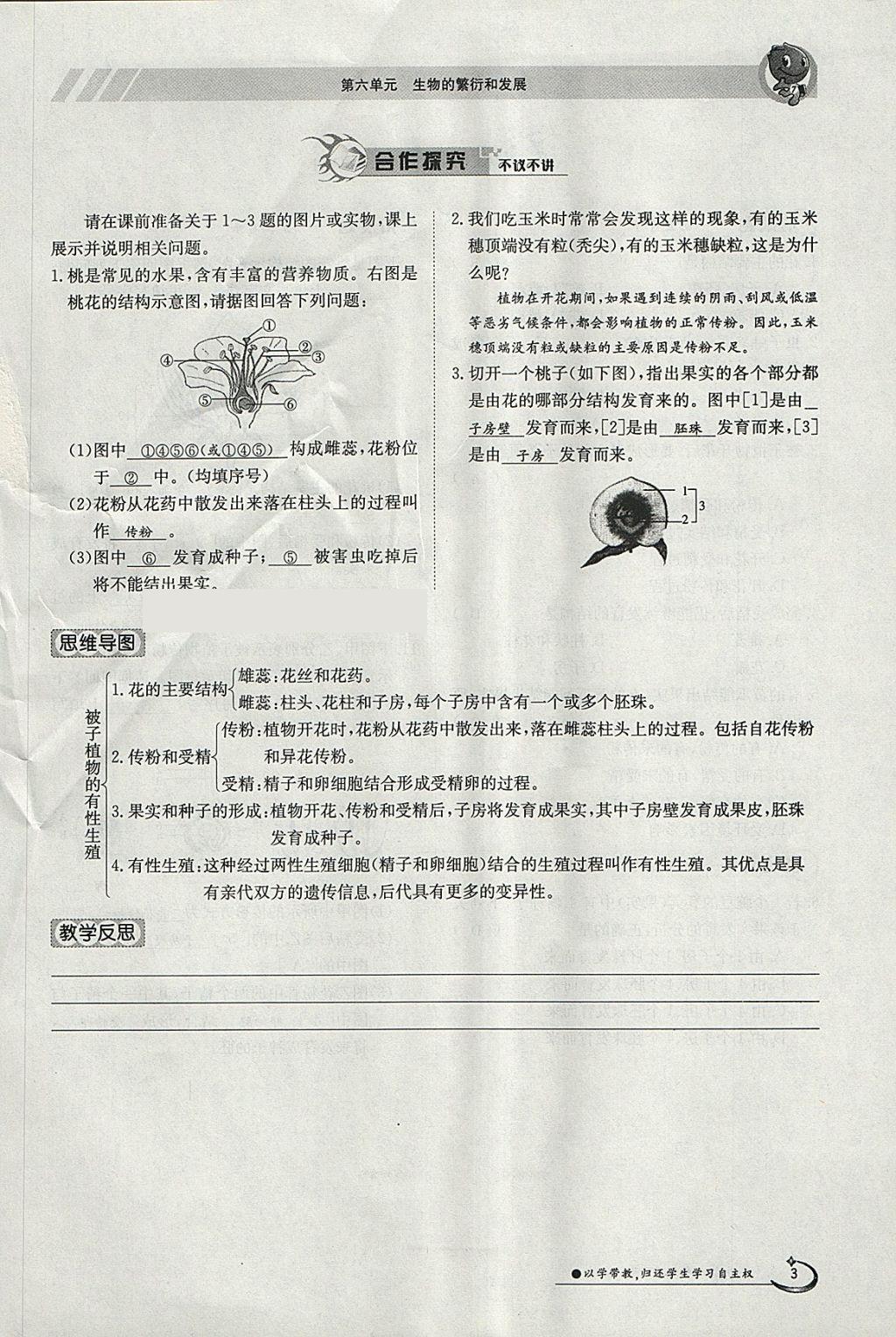 2018年金太阳导学案八年级生物下册冀少版 参考答案第3页